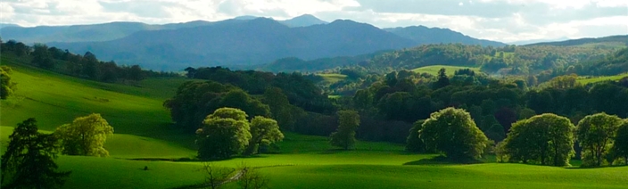 PethshireScenic.jpg